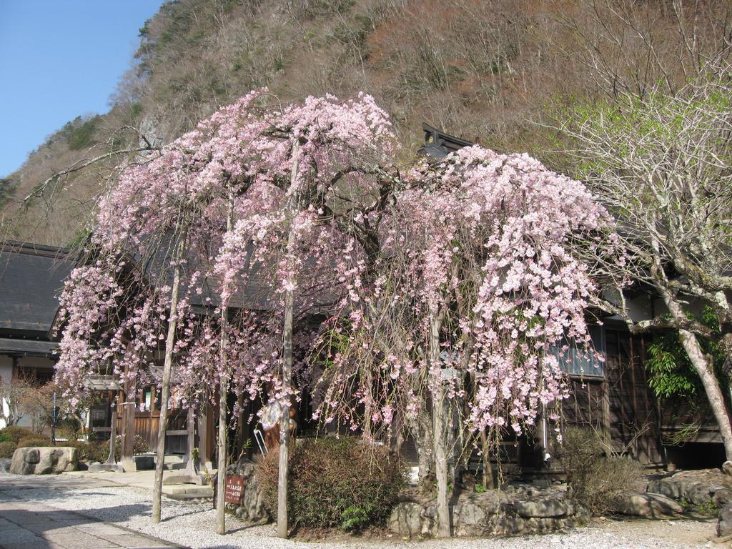 Masugen Ryokan Tenkawa Exterior photo